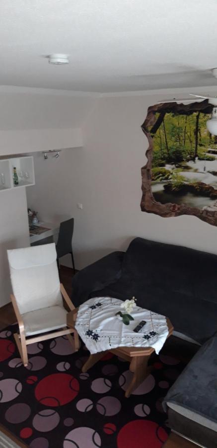 Ferienapartment-Monteurwohnung-Muldestausee Pouch Εξωτερικό φωτογραφία