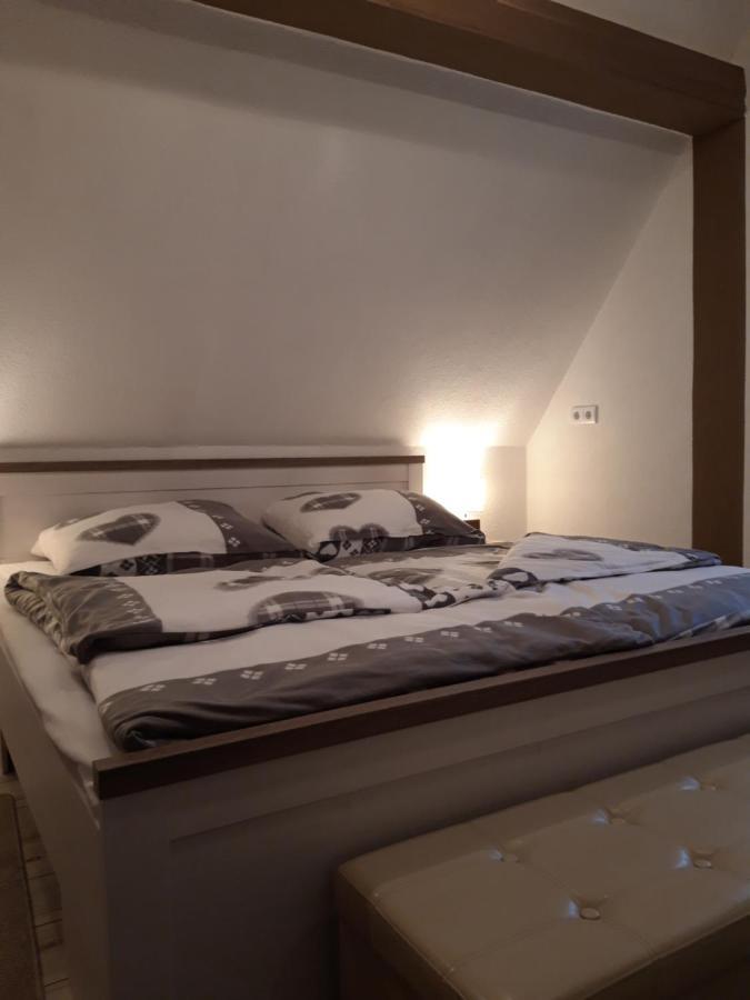 Ferienapartment-Monteurwohnung-Muldestausee Pouch Εξωτερικό φωτογραφία
