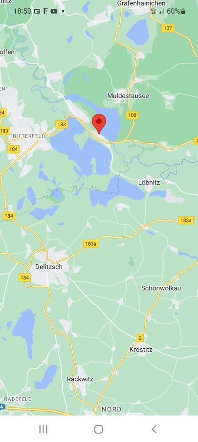 Ferienapartment-Monteurwohnung-Muldestausee Pouch Εξωτερικό φωτογραφία